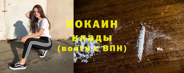 гидра Бронницы