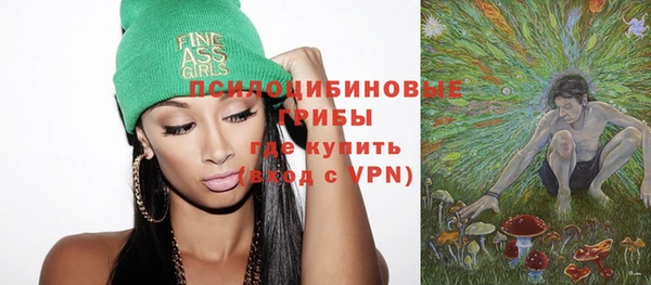 гидра Бронницы