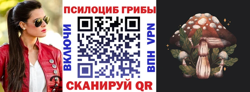 Галлюциногенные грибы Magic Shrooms  Южно-Сухокумск 